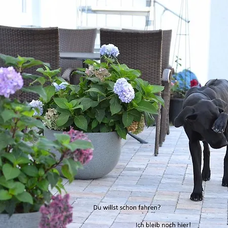 Haus Buddenbrock Auf Ruegen Διαμέρισμα