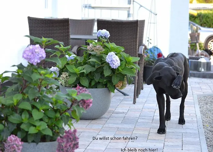 Haus Buddenbrock Auf Ruegen Апартаменты